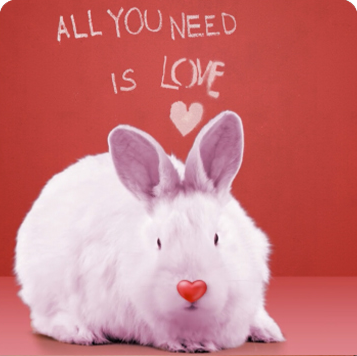 Bunny Valentine